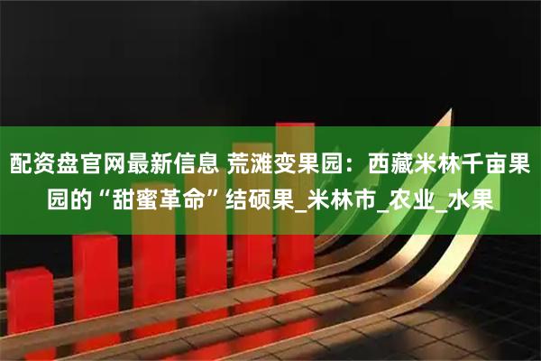 配资盘官网最新信息 荒滩变果园：西藏米林千亩果园的“甜蜜革命”结硕果_米林市_农业_水果
